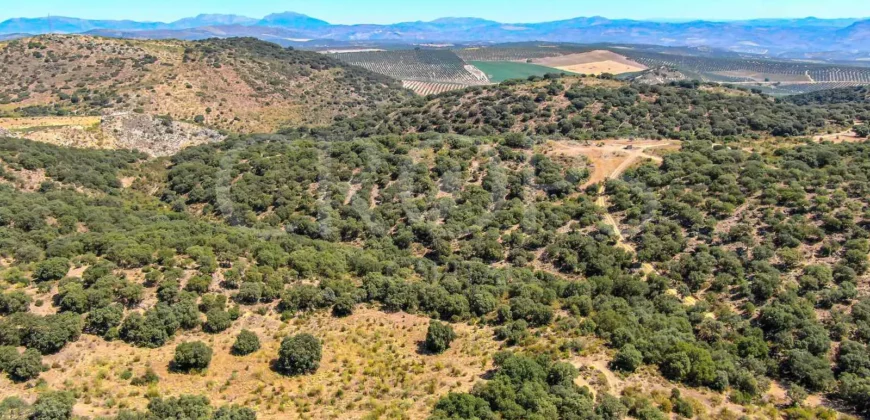 Finca de recreo con cortijo en Granada