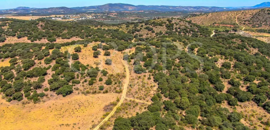 Finca de recreo con cortijo en Granada