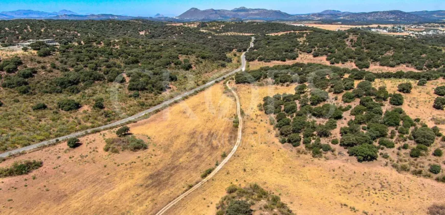 Finca de recreo con cortijo en Granada