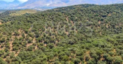 Finca de recreo con cortijo en Granada