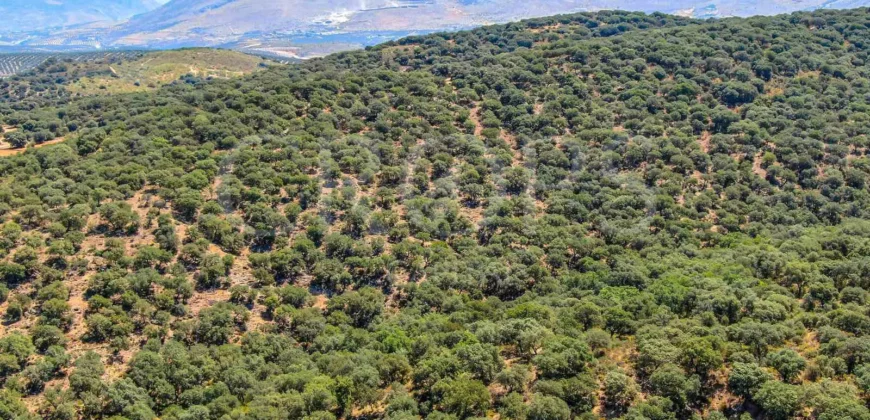 Finca de recreo con cortijo en Granada