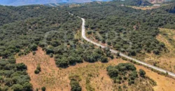 Finca de recreo con cortijo en Granada