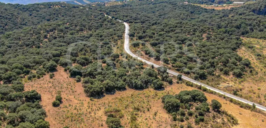 Finca de recreo con cortijo en Granada