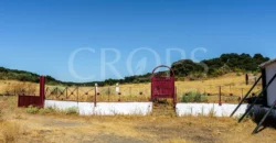 Finca de recreo con cortijo en Granada