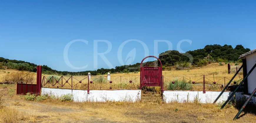 Finca de recreo con cortijo en Granada