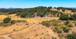 Finca de recreo con cortijo en Granada