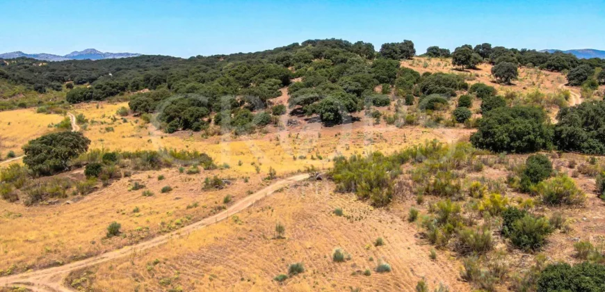 Finca de recreo con cortijo en Granada