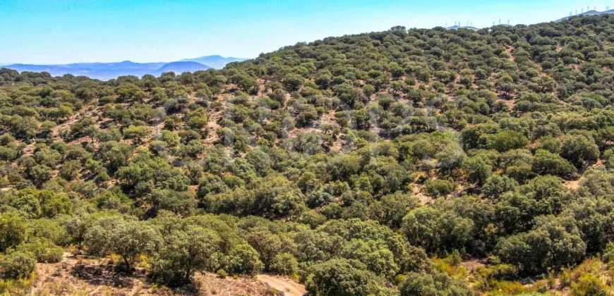 Finca de recreo con cortijo en Granada