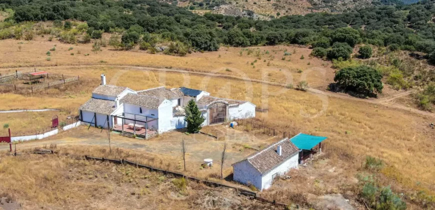 Finca de recreo con cortijo en Granada