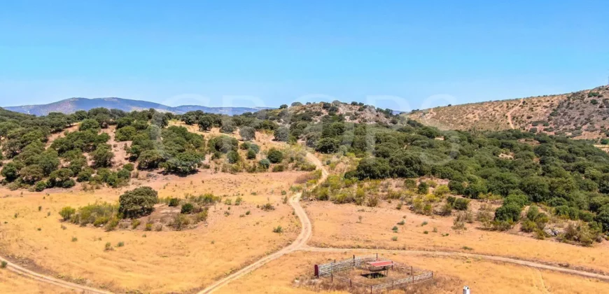 Finca de recreo con cortijo en Granada