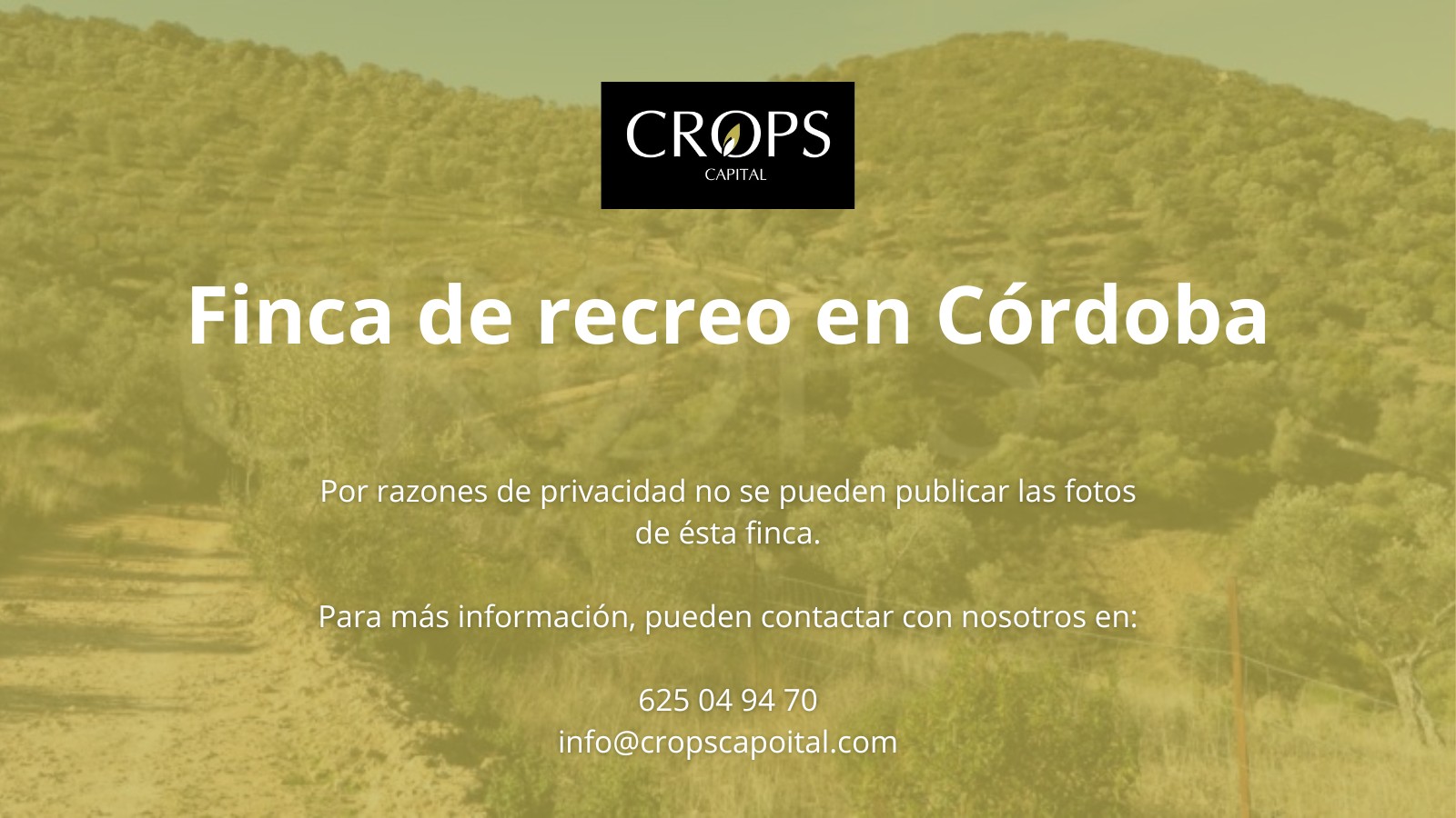 En venta finca de recreo con cortijo y olivar en Córdoba