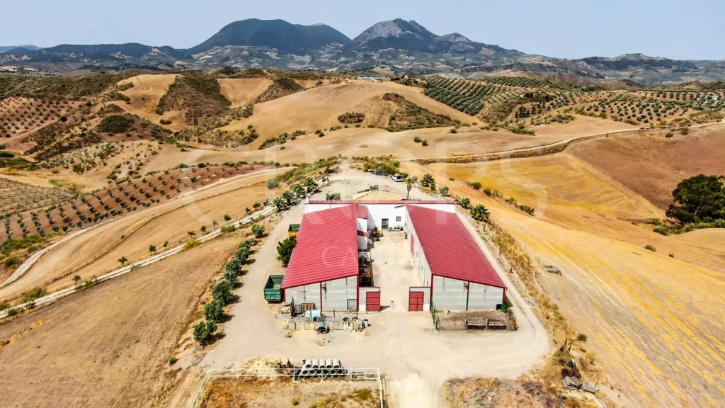 Negocios en Fincas Rústicas