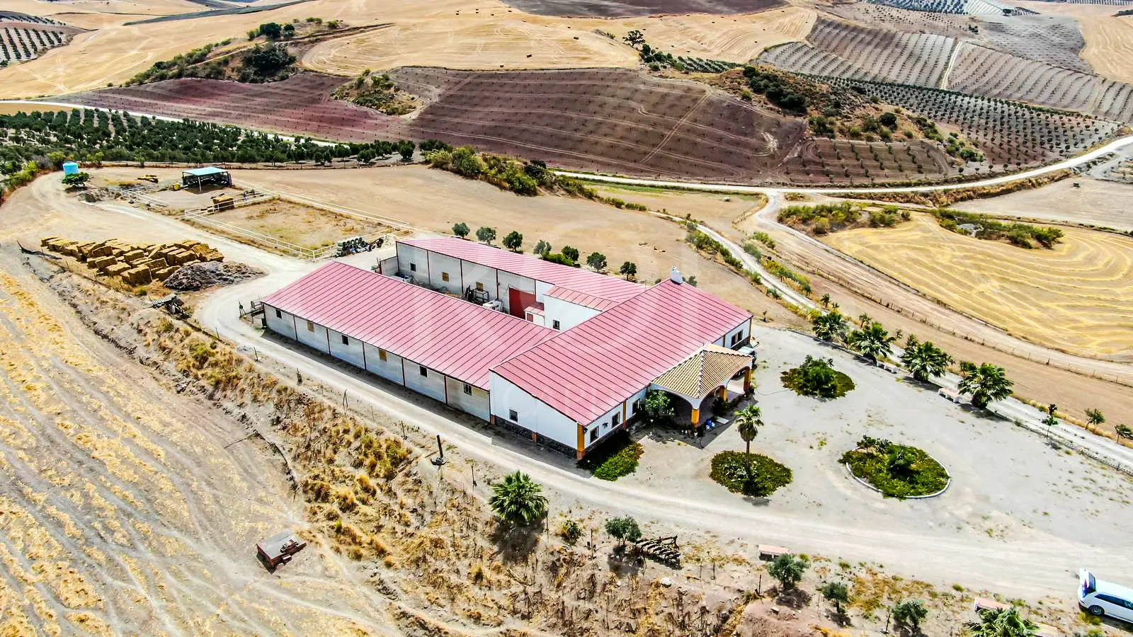 Venta de finca ecuestre con cortijo en Sevilla