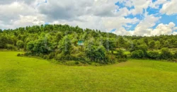 Finca residencial y cinegética vallada en el Pirineo aragonés