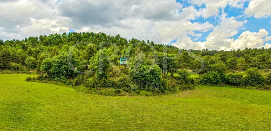 Finca residencial y cinegética vallada en el Pirineo aragonés