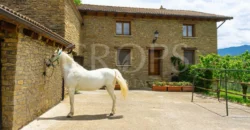 Finca residencial y cinegética vallada en el Pirineo aragonés