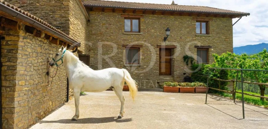 Finca residencial y cinegética vallada en el Pirineo aragonés