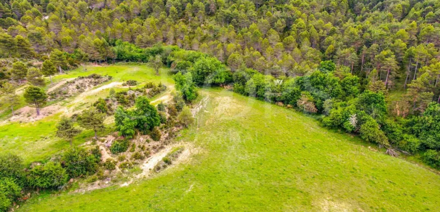 Finca residencial y cinegética vallada en el Pirineo aragonés