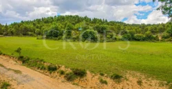 Finca residencial y cinegética vallada en el Pirineo aragonés