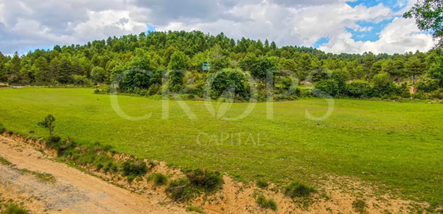 Finca residencial y cinegética vallada en el Pirineo aragonés