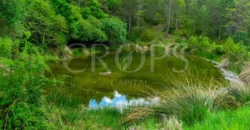 Finca residencial y cinegética vallada en el Pirineo aragonés