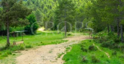 Finca residencial y cinegética vallada en el Pirineo aragonés