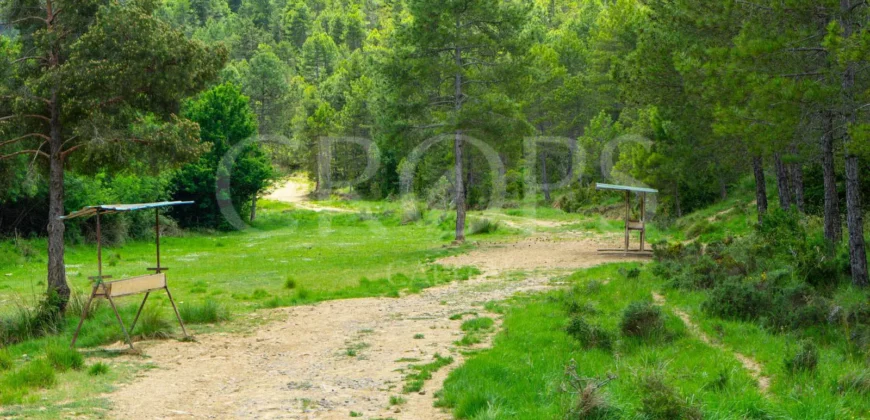 Finca residencial y cinegética vallada en el Pirineo aragonés