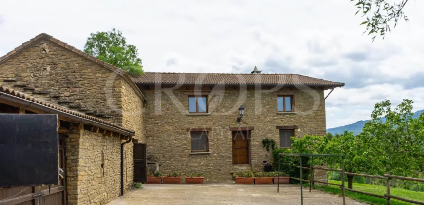 Finca residencial y cinegética vallada en el Pirineo aragonés