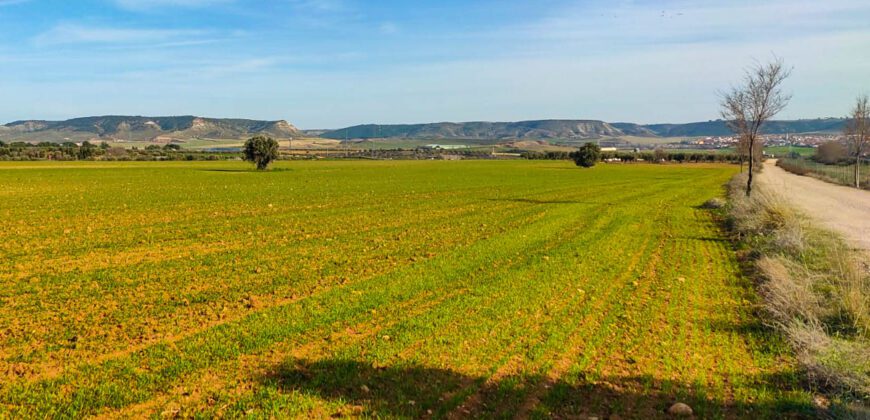 Venta de finca agrícola en Madrid
