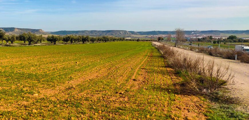 Venta de finca agrícola en Madrid