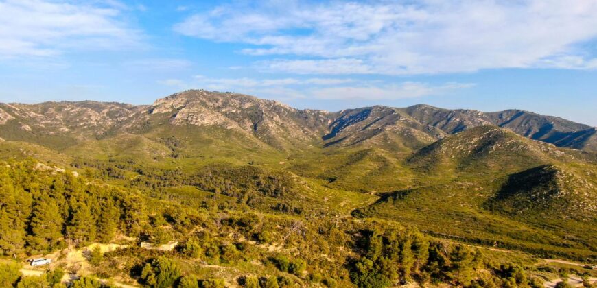 Venta de finca agrícola y forestal con masía en Tarragona