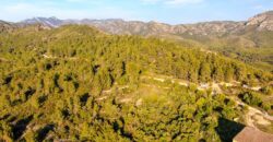 Venta de finca agrícola y forestal con masía en Tarragona
