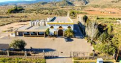 Venta de Bodega y viñedos en Almería