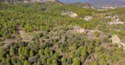 Huesca Pirineo. Venta de finca forestal