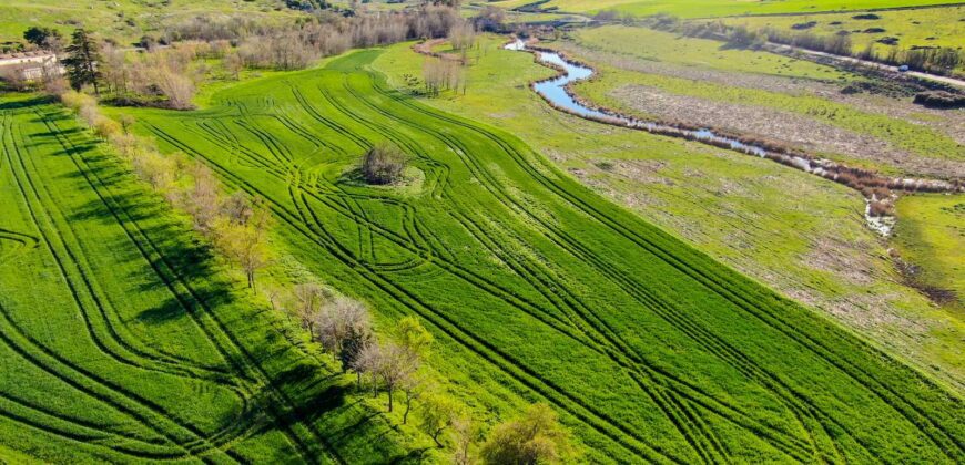 Finca agrícola y ecuestre en Ciudad Real