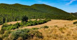 Venta de finca agrícola-ganadera en Huesca 