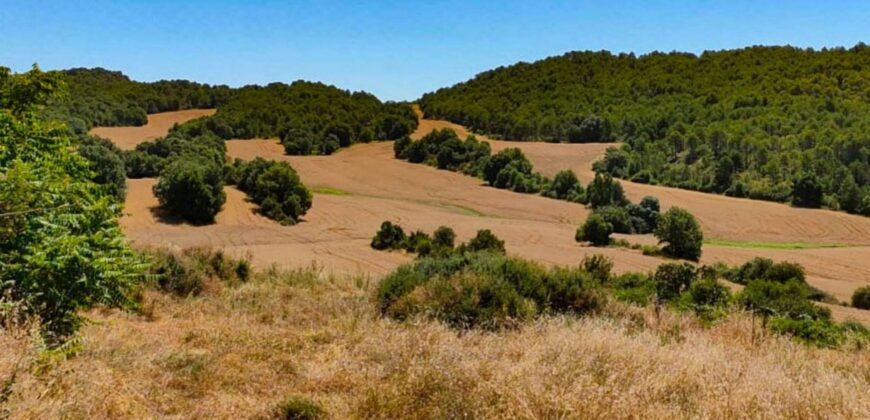 Venta de finca agrícola-ganadera en Huesca 