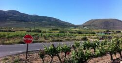 Venta de Bodega y viñedos en Almería