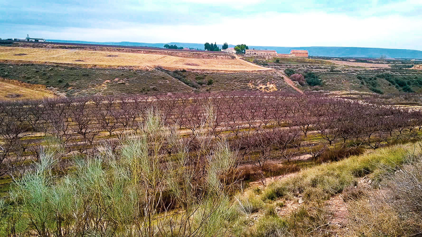 Finca agrícola con vivienda en Huesca 