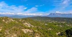 Huesca Pirineo. Venta de finca forestal