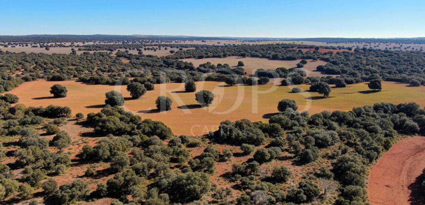 Finca residencial, agrícola y de caza en Albacete