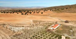Venta de finca agrícola, cinegética y ganadera con cortijo en Granada
