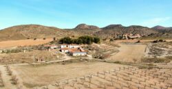Venta de finca agrícola, cinegética y ganadera con cortijo en Granada