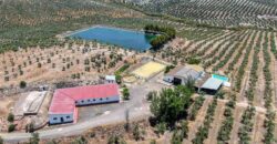 Venta de finca agrícola de regadío en Jaén