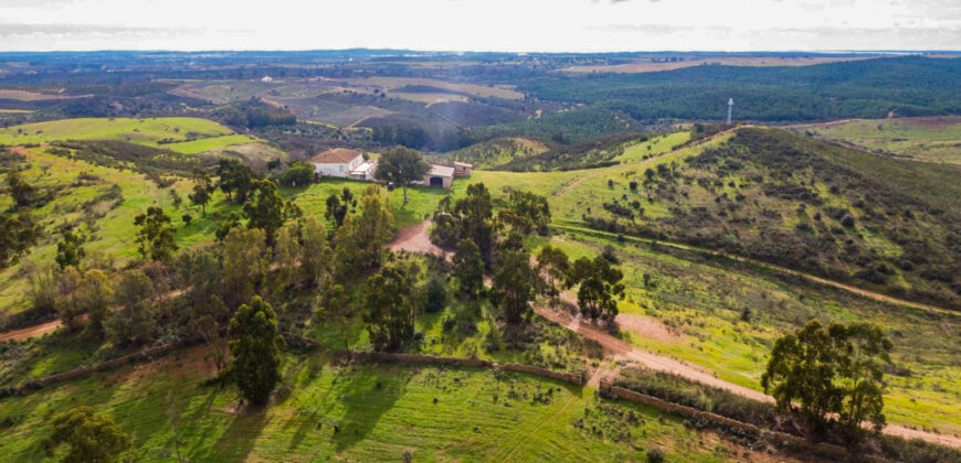 Finca agrícola y ganadera en la provincia de Huelva