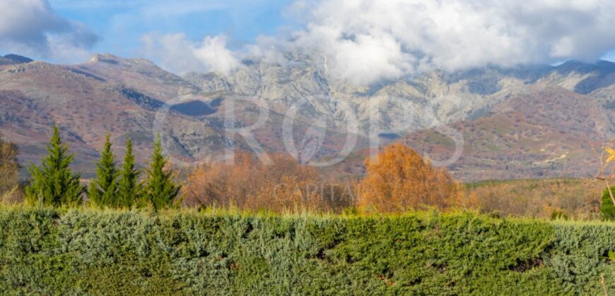 Venta de finca en el sur de la Sierra de Gredos (Ávila)