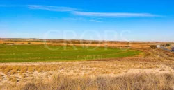 Finca agrícola de regadío en Huesca