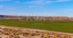 Finca agrícola de regadío en Huesca