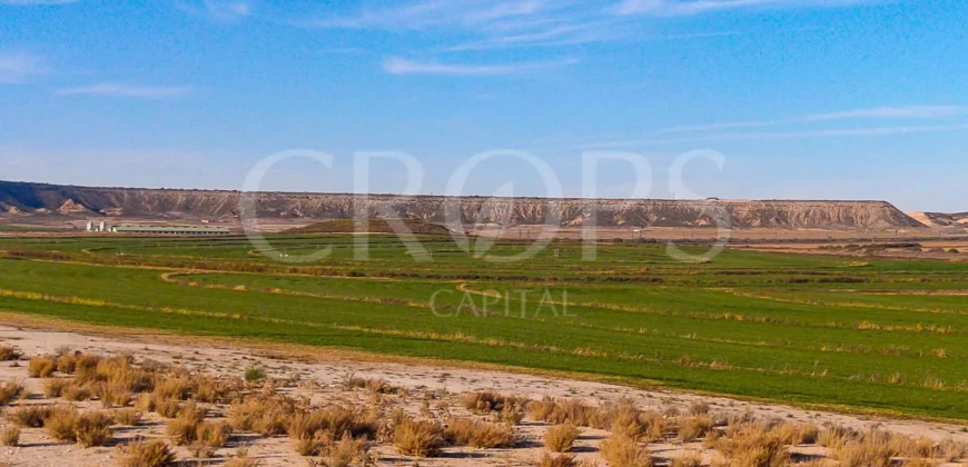 Finca agrícola de regadío en Huesca