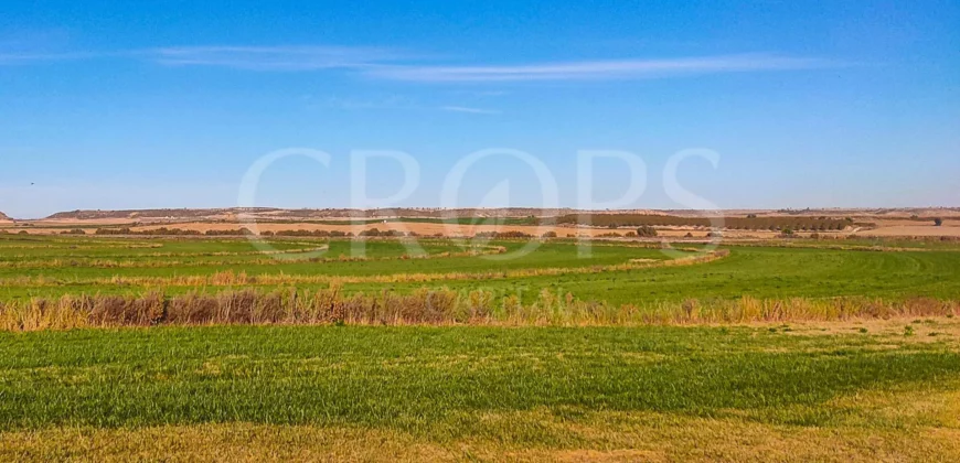 Finca agrícola de regadío en Huesca